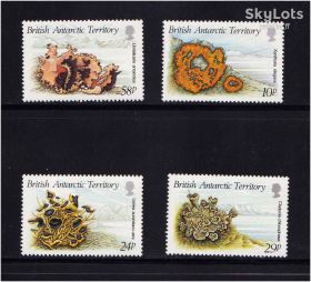 Фауна Фауна ^/--/^ NM Фауна . БАТ / BAT 1989 г  MNH - ^_^^^ NM Фауна . БАТ / BAT 1989 MNH - фото фото фото