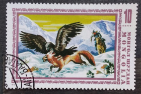Фауна Фауна ^/--/^ Монголия 1975 г - сцены охоты, беркут ^_^^^ Монголія 1975 р. - сцени полювання, беркут - фото фото фото