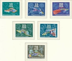 Інше Другое ^/--/^ ГДР Фауна Рыбы 1976 ^_^^^ НДР Фауна Риби 1976 - фото фото фото