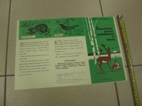 Інше Другое ^/--/^ плакат охраняйте диких животных  хмельницкий 1972 №9717 ^_^^^ плакат охороняйте диких тварин Хмельницький 1972 No /--/ 9717 - фото фото фото