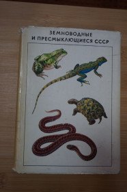 Видання - р. Издания - гг. ^/--/^ Земноводные и пресмыкающиеся СССР ^_^^^ Земноводні і плазуни СРСР - фото фото фото
