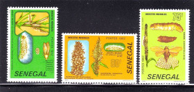 Фауна Фауна ^/--/^ Фауна . Сенегал 1982 г MNH - флора ^_^^^ Сенегал 1982 MNH - флора - фото фото фото