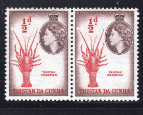 Фауна Фауна ^/--/^ NM Фауна Тристан да Кунья 1954 г MNH - часть серии ^_^^^ NM Фауна Трістан да Кунья 1954 MNH - частина серії - фото фото фото
