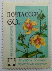 СРСР - СССР - ^/--/^ СССР 1960 Цветы, 60 /--/ к., MLH ^_^^^ СРСР 1960 Квіти, 60 /--/ к., MLH - фото фото фото