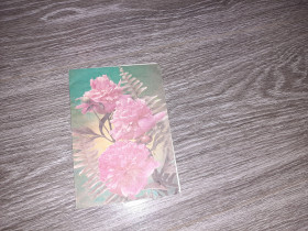 СРСР СССР ^/--/^ Открытка СССР цветы 1988 /--/ г. ^_^^^ Листівка СРСР квіти 1988 /--/ р. - фото фото фото