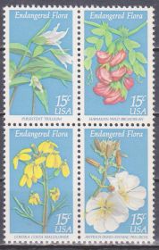 Північна Америка Северная Америка ^/--/^ США 1979 ОХРАНЯЕМАЯ ФЛОРА ДИКОРАСТУЩИЕ ЦВЕТЫ РАСТЕНИЯ КУСТАРНИКИ ЭНДЕМИКИ 4 /--/ м Mi.1386-1389** MNH ^_^^^ США 1979 ОХОРОНЯЄМА ФЛОРА ДИКОРИСТУВАЛЬНІ КВІТИ РАСТІННЯ КУСТАРНИКИ ЕНДЕМІКИ 4 /--/ М Mi.1386-1389** MNH - фото фото фото