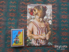 СРСР СССР ^/--/^ Любит - не любит ...  Ромашка  1968 г. ^_^^^ Любить – не любить... Ромашка 1968 р. - фото фото фото