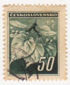 Чехословаччина Чехословакия ^/--/^ Чехословакия  1945 г № 419 гашеная ^_^^^ Чехословаччина 1945 р. No 419 гашена - фото фото фото