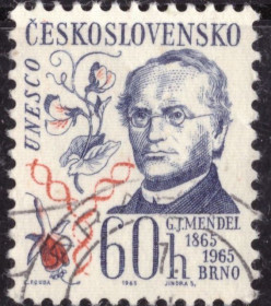 Чехословаччина Чехословакия ^/--/^ Чехословакия. Г. Й. Мендель  (серия) 1965 г. ^_^^^ Чехословаччина. Г. Й. Мендель (серія) 1965 р. - фото фото фото
