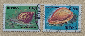 Фауна Фауна ^/--/^ Гана 1991 г - Фауна. Моллюски, гаш ^_^^^ Гана 1991 — Фауна. Молюски, гаш - фото фото фото