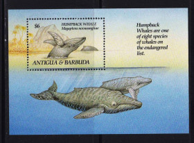 Фауна Фауна ^/--/^ NM Фауна . Антигуа и Барбуда 1993 г  ** блок ^_^^^ NM Фауна . Антигуа і Барбуда 1993 - фото фото фото