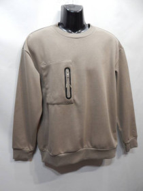 Толстовки Толстовки ^/--/^ Мужская демисезонная кофта (свитшот) р.50 (М) 063 /--/ ZMT (только в указанном размере, только 1 шт) ^_^^^ Чоловіча демісезонна кофта (світшот) р.50 (М) 063 /--/ ZMT (тільки в зазначеному розмірі, тільки 1 шт) - фото фото фото