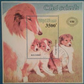 Фауна Фауна ^/--/^ Вьетнам 1990 фауна собаки филвыставка Новая Зеландия Mi блок 78 А ^_^^^ В'єтнам 1990 фауна собаки філвиставка Нова Зеландія Mi блок 78 А - фото фото фото