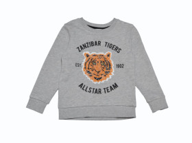 Толстовки, худі Толстовки, худи ^/--/^ Світло-сірий світшот реглан з тигром h&amp;m на хлопчика 4-6 років ^_^^^ Светло-серый свитшот реглан с тигром h&amp;m на мальчика 4-6 лет - фото фото фото