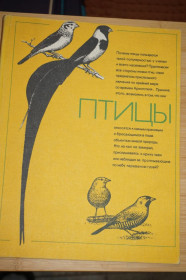 Видання - р. Издания - гг. ^/--/^ Уэлти К., Сторер Дж., Пенникуик К. Птицы. Сборник статей. ^_^^^ Уелті К., Сторер Дж., Пеннікуїк К. Птахи. Збірник статей. - фото фото фото