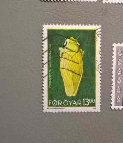Фауна Фауна ^/--/^ Фареры Фауна 1995 ^_^^^ Фарери Фауна 1995 - фото фото фото