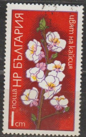 Флора Флора ^/--/^ Болгария Болгарія 1975 флора ^_^^^ Болгария Болгария 1975 флора - фото фото фото