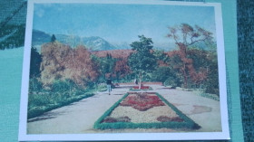 СРСР СССР ^/--/^ Открытка Крым Осень в Ялта  1961 год ^_^^^ Листівка Крим Осінь в Ялта 1961 - фото фото фото