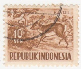 Індонезія Индонезия ^/--/^ Индонезия   1956 г.№  203 гашеная ^_^^^ Індонезія 1956 р. No 203 гашена - фото фото фото