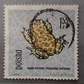 Фауна Фауна ^/--/^ Польша 1963 г - Зелёная жаба  (Bufo viridis), гаш ^_^^^ 1963 — Зелена жаба (Bufo viridis), гаш - фото фото фото