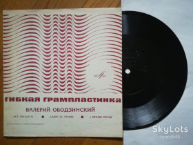 Платівки Пластинки ^/--/^ Валерий Ободзинский-Все сбудется  (2)-NM+, флексі-Мелодія ^_^^^ Валерий Ободзинский-Все сбудется (2)-NM+, флекси-Мелодия - фото фото фото