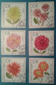 Флора Флора ^/--/^ ГДР 1979 флора цветы Mi 2435-2440 ^_^^^ НДР 1979 флора квіти Mi 2435-2440 - фото фото фото