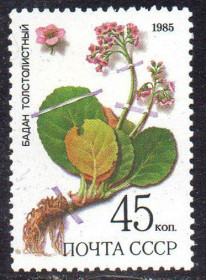 СРСР - СССР - ^/--/^ СРСР 1985 - Лікарські рослини Сибіру ** ^_^^^ СССР 1985 - Врачебные растения Сибири ** - фото фото фото