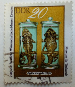 НДР, ФРН ГДР, ФРГ ^/--/^ ГДР 1978 Музей Дрездена, гашеная ^_^^^ НДР 1978 Музей Дрездена, гашена - фото фото фото