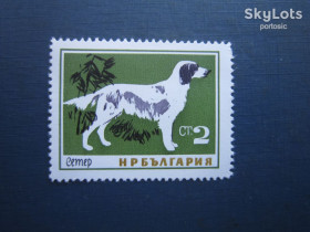 Фауна Фауна ^/--/^ Марка Болгарія 1964 фауна собаки порода сеттер MNH ^_^^^ Марка Болгария 1964 фауна собаки порода сеттер MNH - фото фото фото