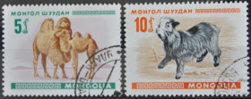 Інше Другое ^/--/^ Монголия Фауна ^_^^^ Монголія Фауна - фото фото фото