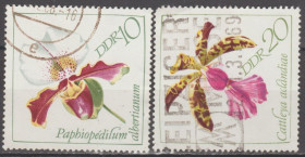 НДР, ФРН ГДР, ФРГ ^/--/^ Германия Німеччина ГДР 1968 флора цветы ^_^^^ Германия ГДР 1968 флора цветы - фото фото фото