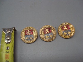 Геральдика Геральдика ^/--/^ Знак герб Юрьев-Польской золотое кольцо лот 3 шт №16511 ^_^^^ Знак герб Юріїв-Польської золоте кільце лот 3 шт No /--/ 16511 - фото фото фото