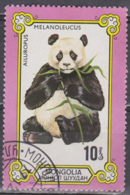 Фауна Фауна ^/--/^ Монголия Монголія 1977 фауна панда ^_^^^ Монголия Монголия 1977 фауна панда - фото фото фото