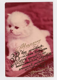 СРСР СССР ^/--/^ КОТ - КОТЕНОК  начало 1990-х гг. - КООПЕРАТИВ  п/п  ^_^^^ КОТЕНОК - початок 1990-х рр. Кооператив п/п - фото фото фото