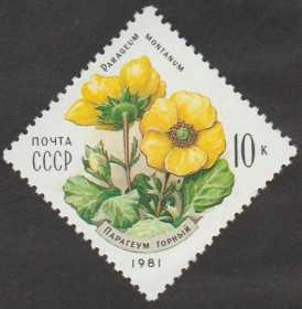 СРСР - СССР - ^/--/^ СССР 1981 флора ^_^^^ СРСР 1981 флора - фото фото фото