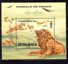 Фауна Фауна ^/--/^ Фауна .  Румыния  2000 г  MNH  - блок - лев ^_^^^ Румунія 2000 р MNH - блок - лев - фото фото фото