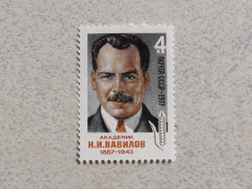 СРСР - СССР - ^/--/^ Поштова марка СРСР &amp;quot; 90 років від дня народження М.І.Вавілова &amp;quot; 1977 рік ** ^_^^^ Почтовая марка СССР &amp;quot; Личность &amp;quot; 1977 год ** - фото фото фото