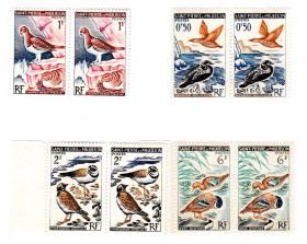 Фауна Фауна ^/--/^ NM Фауна Сан Пьер и Микелон 1963 г MNH - пары - птицы ^_^^^ NM Фауна Сан П'єр і Мікелон 1963 MNH - пари - фото фото фото