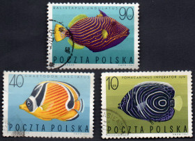Польща Польша ^/--/^ Польща 1967 - Риби екзотичні  (Гб) ^_^^^ Польша 1968 Зимние олимпийские игры (Г) - фото фото фото