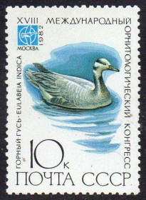 СРСР - СССР - ^/--/^ СРСР 1982 - XVIII Міжнародний орнітологічний конгрес ** ^_^^^ СССР 1982 - XVIII Международный орнитологический конгресс ** - фото фото фото