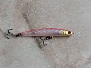 Воблери, принади Воблеры, приманки ^/--/^ Воблер Jackall Bros Siera Minnow 55 /--/ S Cotton shad    ( Япония ) ^_^^^ Воблер Jackall Bros Siera Minnow 55 /--/ S Cotton shad (Японія) - фото фото фото