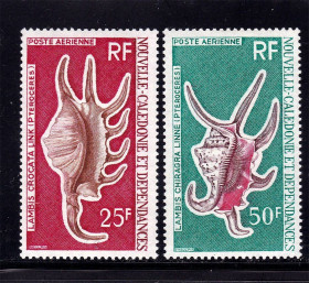 Фауна Фауна ^/--/^ Фауна . Новая Каледония 1972 г   **  - ракушки ^_^^^ Фауна . Нова Каледонія 1972 г ** - черепашки - фото фото фото