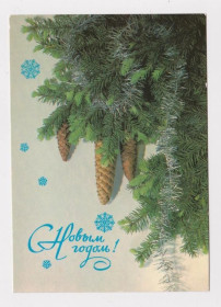 СРСР СССР ^/--/^ С НОВЫМ ГОДОМ  ДМПК 1988 г.  ДЕРГИЛЕВ  чистая  ^_^^^ З Новим роком ДМПК 1988 Сергій чистий - фото фото фото