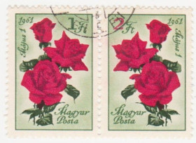 Угорщина Венгрия ^/--/^ Венгрия 1961 г. № 1778‑1779 гашеная сцепка ^_^^^ Угорщина 1961 р. No 1778-1779 гашений зчеплення - фото фото фото