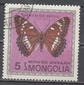 Фауна Фауна ^/--/^ Монголия Монголія 1974 фауна метелик ^_^^^ Монголия Монголия 1974 фауна бабочка - фото фото фото