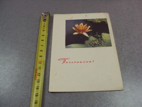 СРСР СССР ^/--/^ открытка поздравляю лилия 1967 анфингера №10935 ^_^^^ Вітаю лілія 1967 анфінгера No /--/ 10935 - фото фото фото