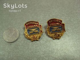 Пам'ятні і ювілейні Памятные и юбилейные ^/--/^ знак ветеран завода хзтпа хмельницкий завод термопластавтомат лот 2 шт №14635 ^_^^^ знак ветеран заводу хзтпа хмельницький завод термопластавтомат лот 2 шт No /--/ 14635 - фото фото фото