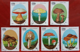 Острівні держави Островные государства ^/--/^ Куба 1988 флора грибы Mi 3156-3162 ^_^^^ Куба 1988 флора гриби Mi 3156-3162 - фото фото фото