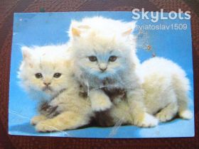 Календарі Календари ^/--/^ календарик Украины  (1996 г ) ^_^^^ календарик України (1996) - фото фото фото