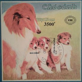Фауна Фауна ^/--/^ Вьетнам 1990 фауна собаки филвыставка Новая Зеландия Mi блок 78 U без зубцов ^_^^^ В'єтнам 1990 фауна собаки філвиставка Нова Зеландія Mi блок 78 U без зубців - фото фото фото
